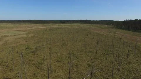 BOGS and MARSH FROM THE AIR Stock Footage 61727147