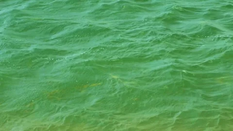 Bohai Sea Ocean Waves with Gradient Color and Rolling Swell Stock Footage 320674213