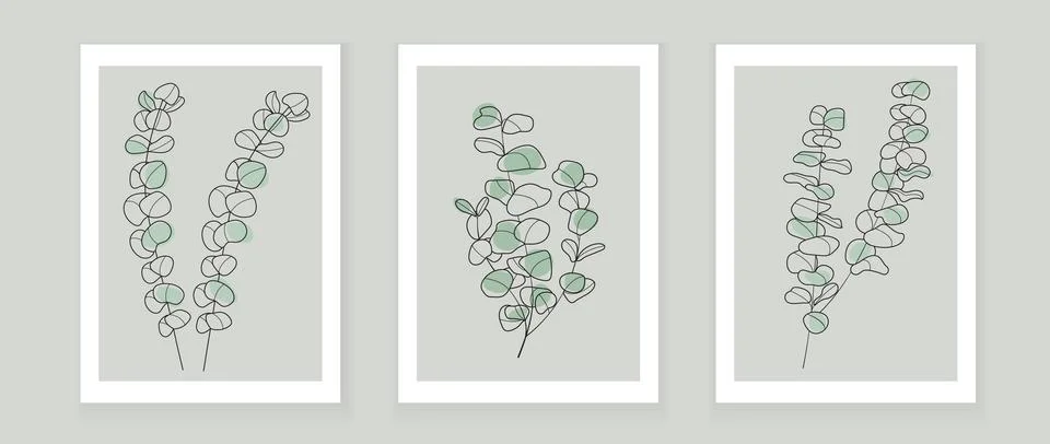 Bohemian eucalyptus branch vector. Eucalyptus with leaves in linear style. Bo Stock Illustration