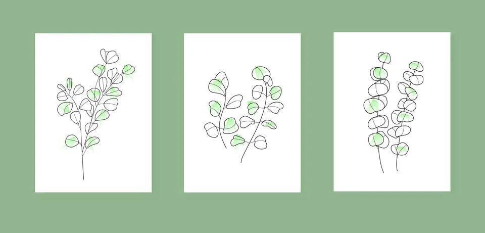 Bohemian eucalyptus branch vector. Eucalyptus with leaves in linear style. Bo Stock Illustration