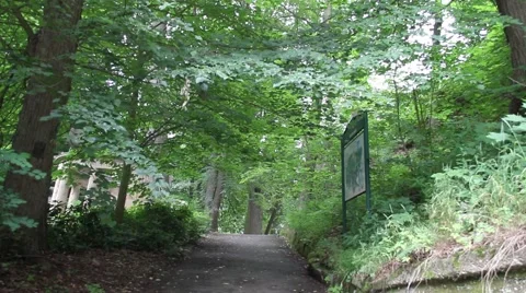 Bohemian forest path in Summer Stock Footage 62150211