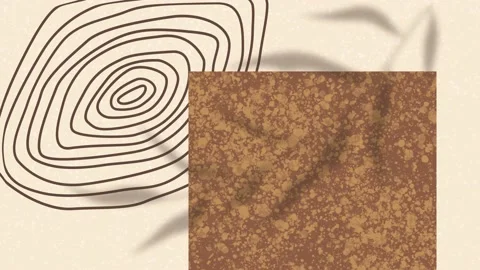 Boho Background Stock Footage 231545775