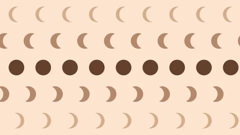 Boho Background Pattern Animation Stock Footage 219844317