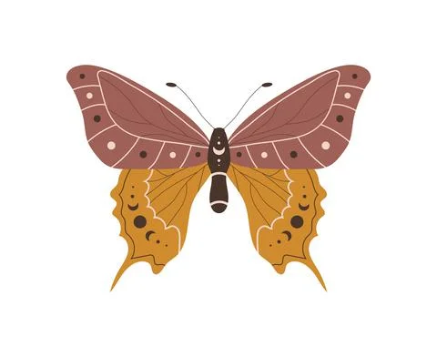 Boho butterfly. Insect with celestial elements. Witch and magic symbol. Abstract Illustrazione stock