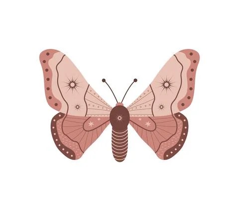 Boho butterfly. Insect with celestial elements. Witch and magic symbol. Abstract Stock Illustration
