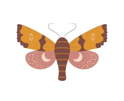 Boho butterfly. Insect with celestial elements. Witch and magic symbol. Abstract Stock Illustration