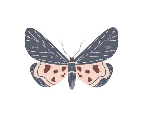 Boho butterfly. Insect with celestial elements. Witch and magic symbol. Abstract Illustrazione stock