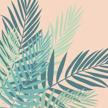 Boho Chic Backgrounds: Minimalist Tropical Leaf Designs with Monstera and P.. Stock Illustration