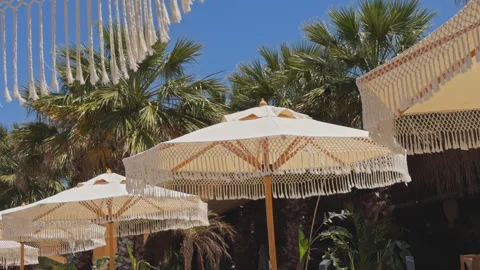 Boho Chic Fringe Umbrellas and Palm Trees at Beach Club 4K Cinematic Stock Footage 336691999
