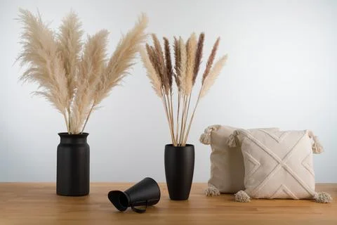 Boho Chic: Pampas Grass, Black Vases, and Cushions Still Life Interior Stock Photos