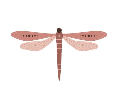 Boho dragonfly. Insect with celestial elements. Witch and magic symbol. Abstract Illustrazione stock