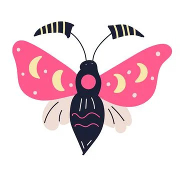 Boho the esoteric moth for wallpaper design. Vector illustration isolated. Hand 스톡 일러스트