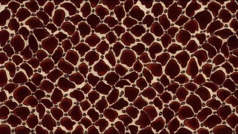 Boho floral animation. Dark background patch animation with traditional Stock Footage 220145896