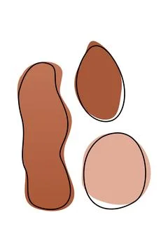 Boho home decor elements in modern abstract boho style Foto stock