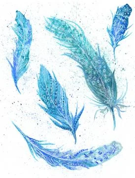 Boho Illustration with Blue Feathers Illustrazione stock