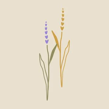 Boho minimalistic tiny lavender branch logo or label vector illustration イラスト素材