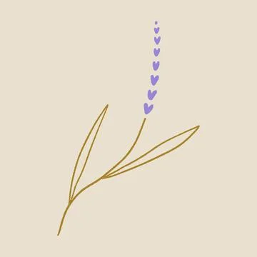 Boho minimalistic tiny lavender branch logo or label vector illustration イラスト素材