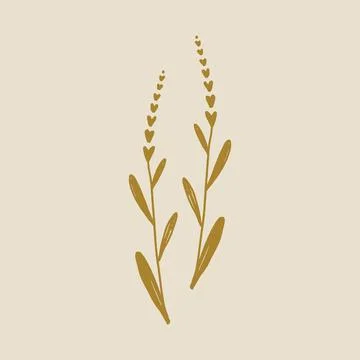 Boho minimalistic tiny lavender branch logo or label vector illustration イラスト素材