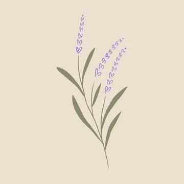 Boho minimalistic tiny lavender branch logo or label vector illustration イラスト素材