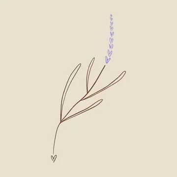 Boho minimalistic tiny lavender branch logo or label vector illustration イラスト素材