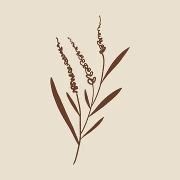 Boho minimalistic tiny lavender branch logo or label vector illustration Stock Illustration