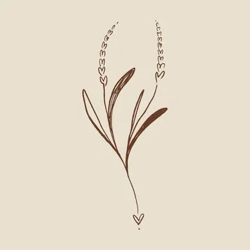 Boho minimalistic tiny lavender branch logo or label vector illustration Stock Illustration