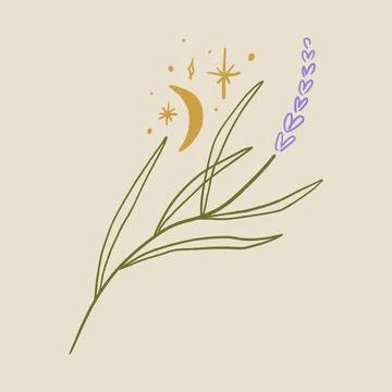 Boho minimalistic tiny lavender branch logo or label vector illustration Stock Illustration