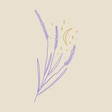 Boho minimalistic tiny lavender branch logo or label vector illustration イラスト素材