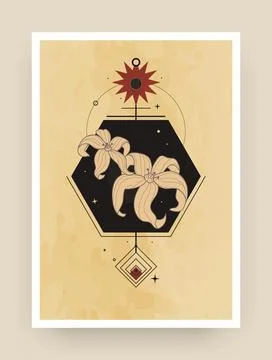 Boho poster. Magic figures. Astrology star. Lily flower. Esoteric geometry... Stock Illustration