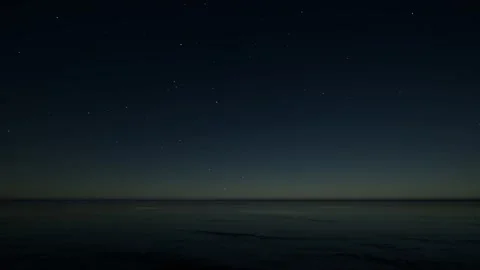 Boho poster. Tropical coconut. Creative neon template. Logo illustration. Exotic 库存影片 154036577