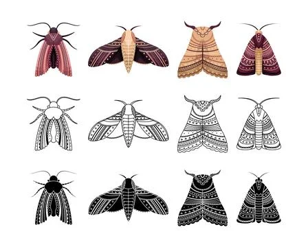 Boho set of moths with geometrical patterns. Outline, flat and simple style. Stock Illustration