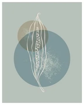 Boho style abstract background minimalism, doodle, grunge texture. Stock Illustration