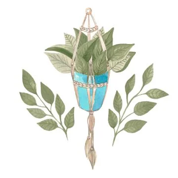 Boho style houseplant in a wicker macrame basket. Watercolor hand-painted coz Stock Illustration