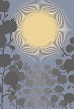 Boho style sun plants vase poster vector Stock Illustration