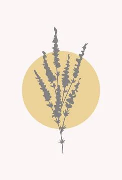 Boho style sun plants vase poster vector Stock Illustration