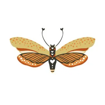 Boho vector butterfly. Stock Illustration