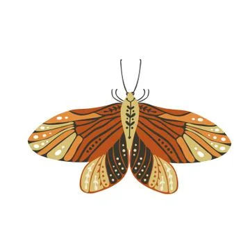 Boho vector butterfly. Stock Illustration