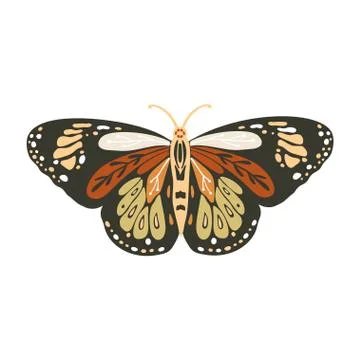 Boho vector butterfly. Stock Illustration