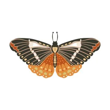 Boho vector butterfly. Stock Illustration