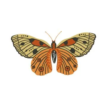Boho vector butterfly. Stock Illustration