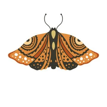 Boho vector butterfly. Stock Illustration