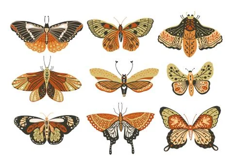 Boho vector butterfly. Illustrazione stock