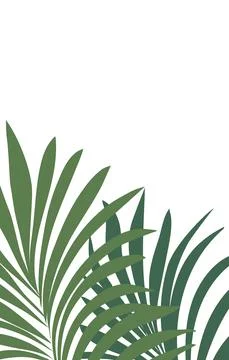 Boho vertical background with green palm leaves. Postcard invitation social Stock Illustration