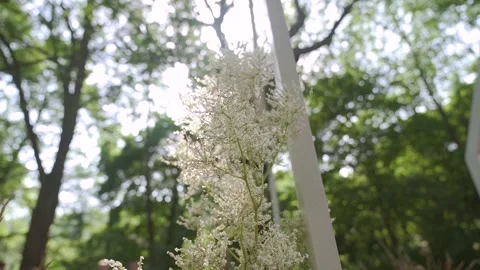 Boho wedding arch on the forest. Wedding decor created by a talanted florist Stock Footage 256189500