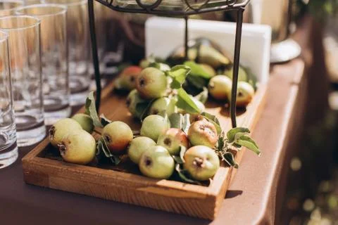 Boho wedding table with eco decor for guests. Stock Photos