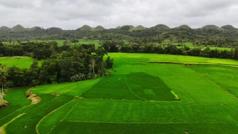 Bohol Rice Fields Drone with Palms &amp; Mountains, Philippines – 4K Aerial Stock Footage 328393447