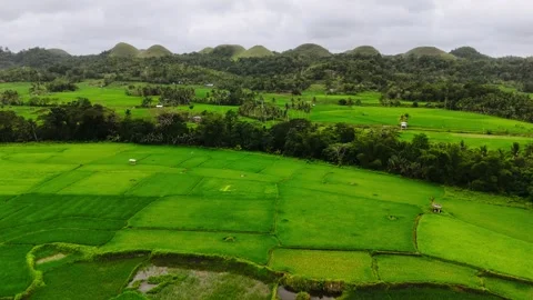 Bohol Rice Fields &amp; Palm Trees Drone with Mountains, Philippines – 4K Aerial Video stock 328393529
