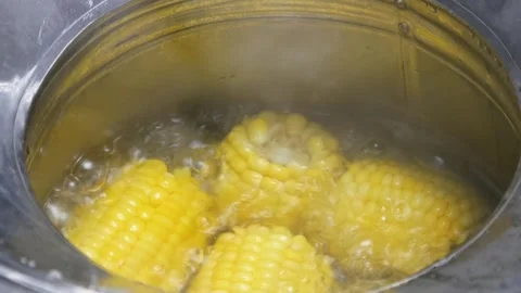 Boil corn in a concave pan with boiling hot water Stock Footage 310980014