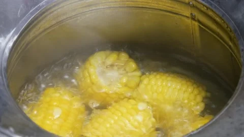 Boil corn in a concave pan with boiling hot water Stock Footage 310980024