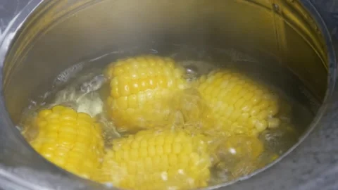 Boil corn in a concave pan with boiling hot water Stock Footage 310980028